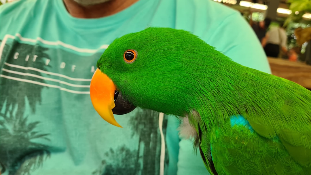 Fin and Feather: Exploring the Beauty of Aquatic and Avian Life